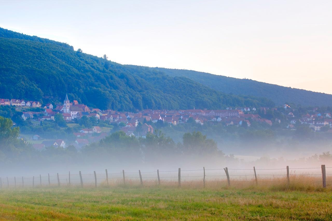 Hotellerie Du Couvent Oberbronn Esterno foto