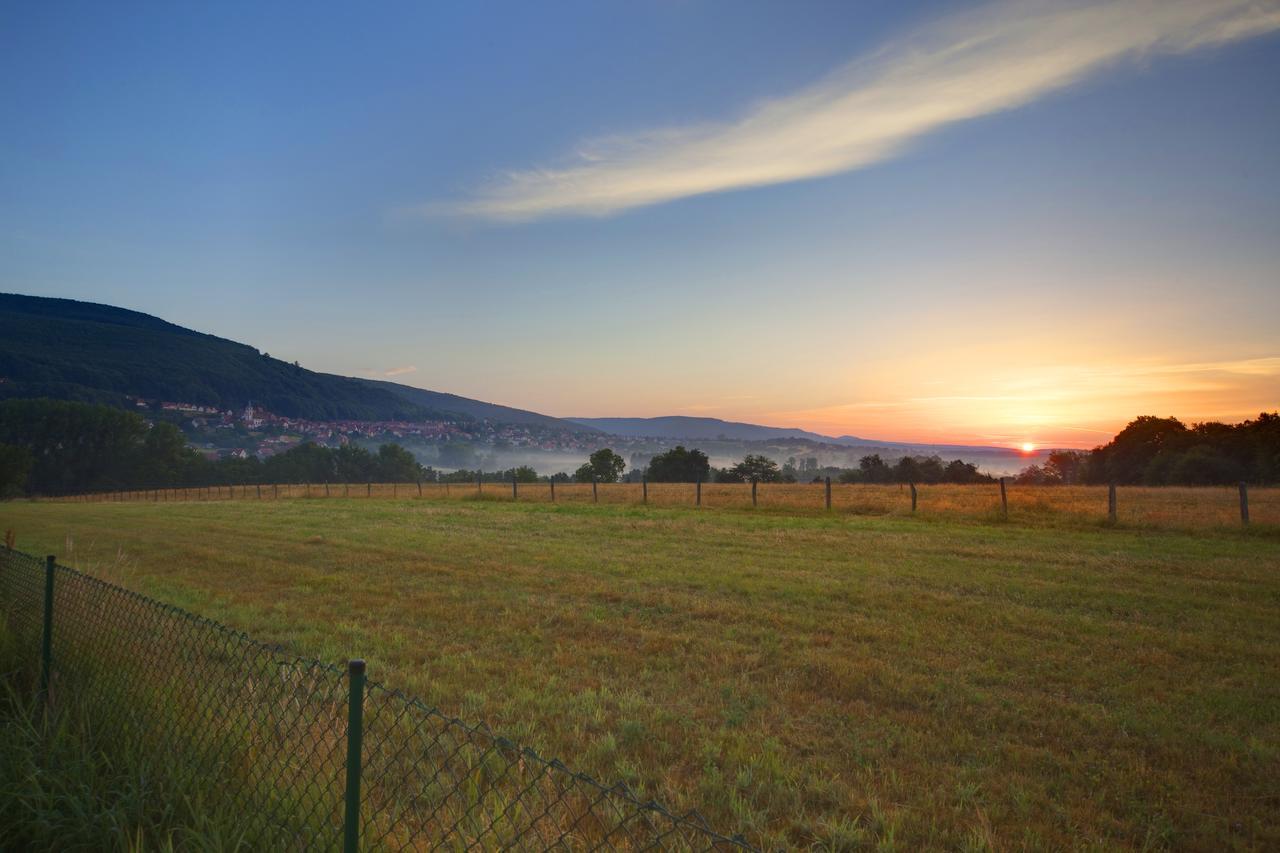 Hotellerie Du Couvent Oberbronn Esterno foto